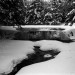 Glenside_Waterfall_2,_in_Winter_March_1993