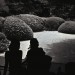 Rock_Garden_2_Kyoto,_Japan_June_22,_1980