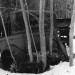 Automobile_Graveyard_2,_along_Highway_6-16_Near_Milo,_Maine_January_1978