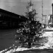 Christmas_Tree_and_Beer_Cans_2,_West_and_Christopher_Streets_New_York_City,_December_1975