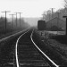 Railroad_Tracks,_Highway_155,_Winona_Texas,_1972